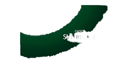 Syndicate Casino logo